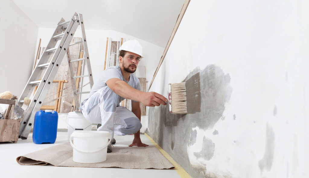 Painters In Melbourne | Organic Paint Solutions